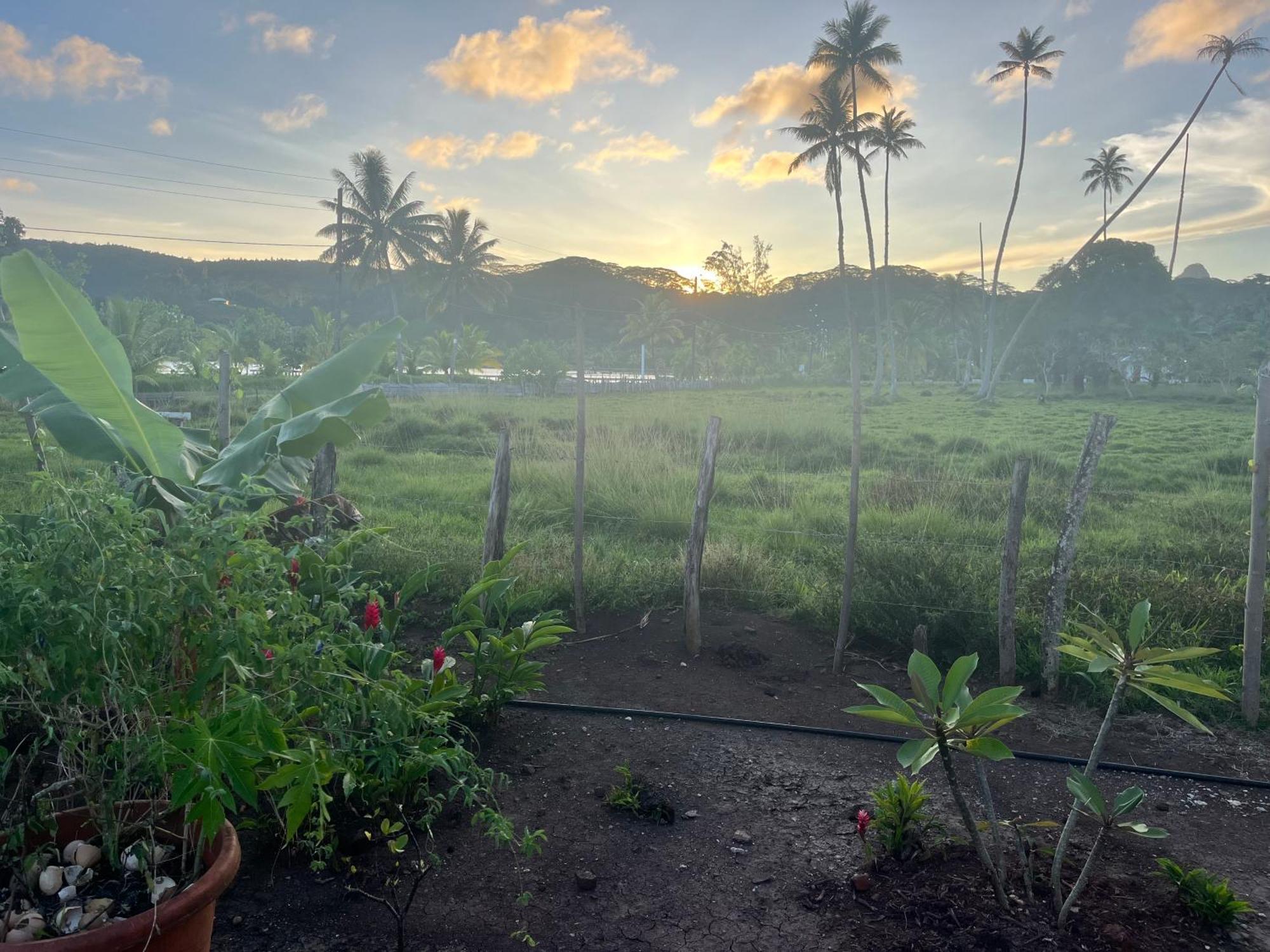 Manatini Lodge Faie المظهر الخارجي الصورة